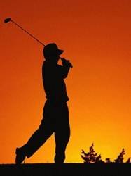 pic for golf shadow speargg